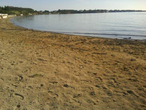 Lolo Privlaka (Zadar)